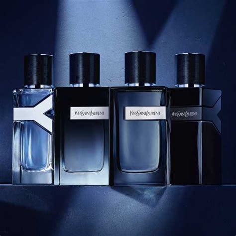 ysl y edp intense vs ysl y edp|y vs y intense.